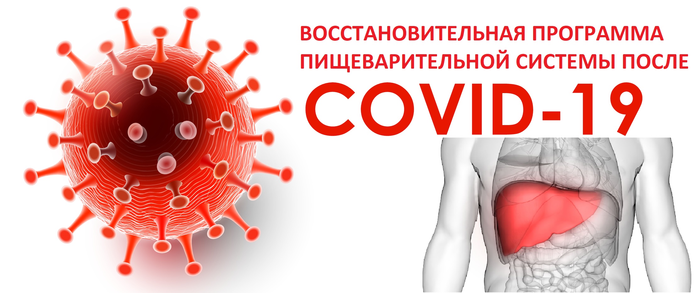 Программа реабилитации пациентов после перенесенной новой коронавирусной инфекции COVID-19 с хроническими заболеваниями пищеварительной системы